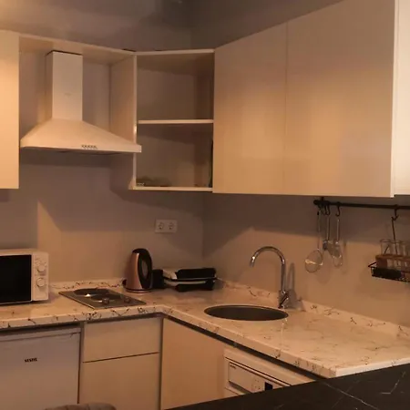 Great Location, Modern 1br At The Heart Of Taksim 公寓 *