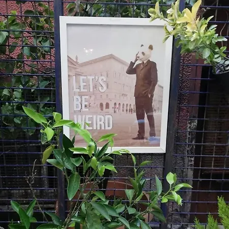 Great Location, Modern 1br At The Heart Of Taksim 公寓 伊斯坦布尔