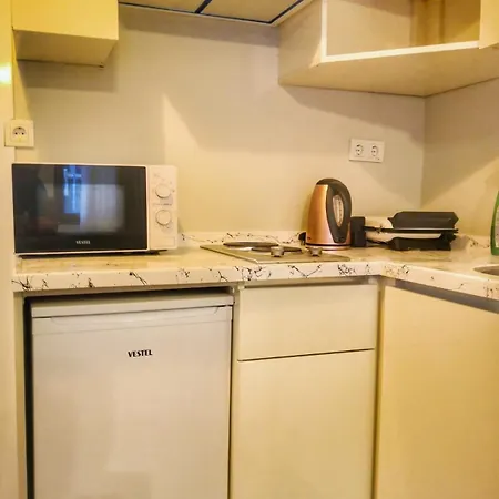Great Location, Modern 1br At The Heart Of Taksim 公寓 伊斯坦布尔