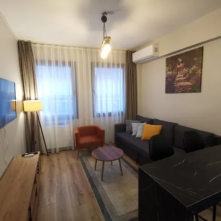 Great Location, Modern 1br At The Heart Of Taksim 公寓 伊斯坦布尔