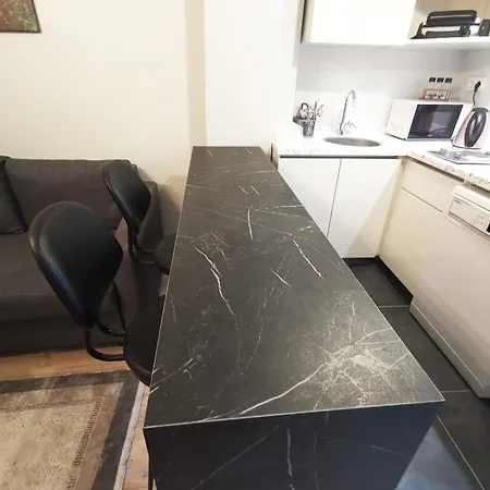 公寓 Great Location, Modern 1br At The Heart Of Taksim *