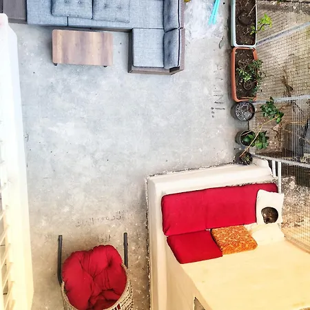 公寓 Great Location, Modern 1br At The Heart Of Taksim *